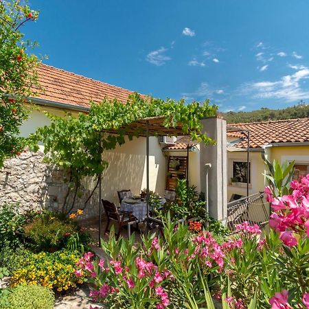 Mediterranean Terrace Apartment With Bikes & Sup Skradin Εξωτερικό φωτογραφία