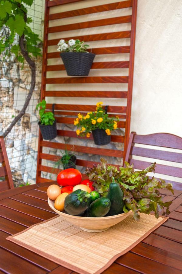Mediterranean Terrace Apartment With Bikes & Sup Skradin Εξωτερικό φωτογραφία