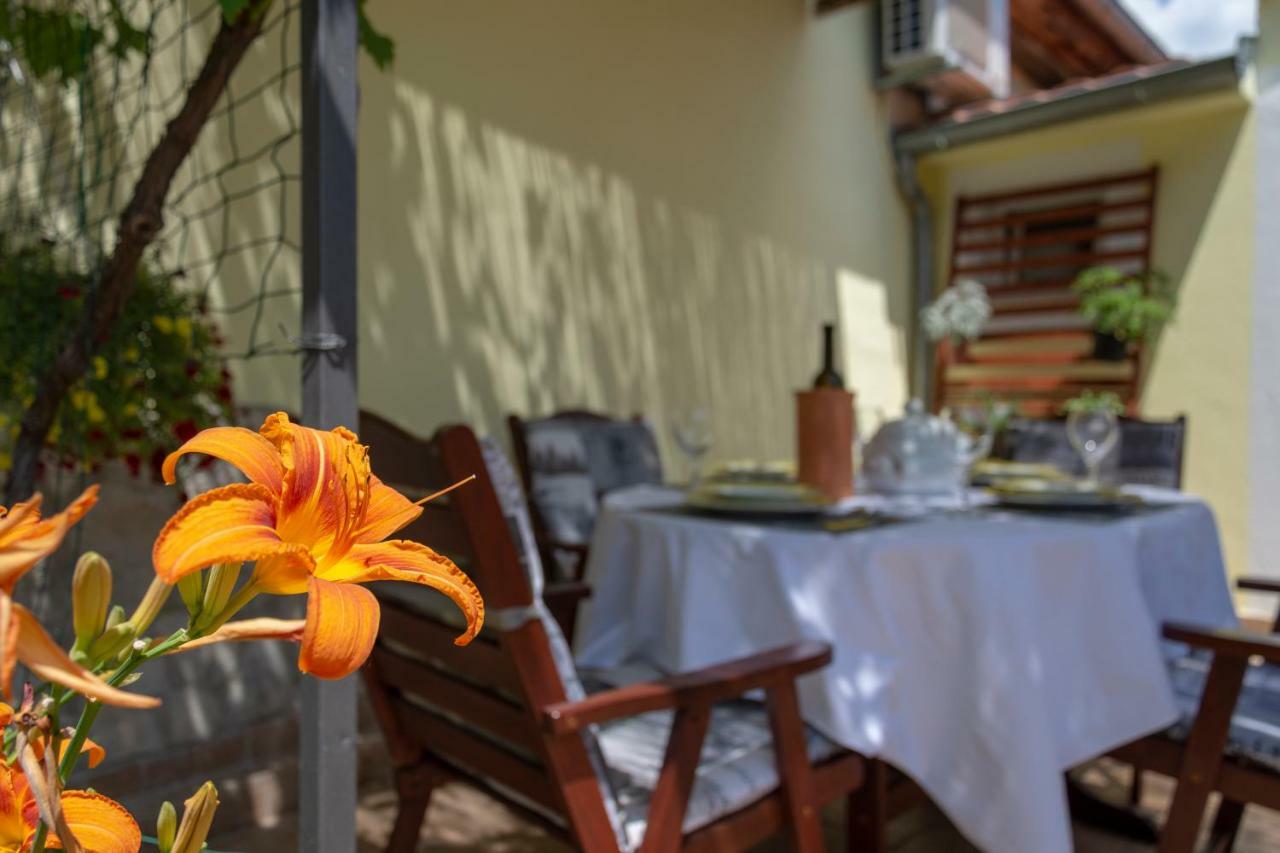 Mediterranean Terrace Apartment With Bikes & Sup Skradin Εξωτερικό φωτογραφία